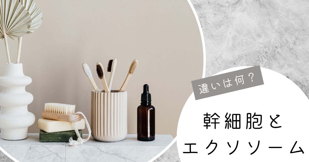 幹細胞とエクソソームの違い