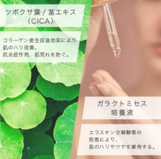 KATANダーマヒットセラム10の成分